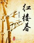 红楼梦17回