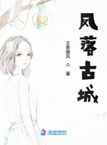 凤落古城小说阅读免费无弹窗