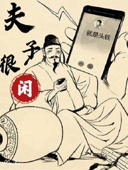 夫子很闲小说免费下载