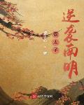 南明假太子历史记载