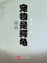 我的宠物是鳄龟小说阅读免费全文
