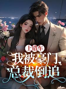 我的司机是大佬书包网