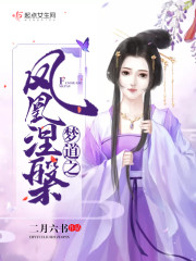 宝可梦凤凰涅槃